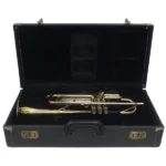SELMER Paris セルマー トランペット Radial 66